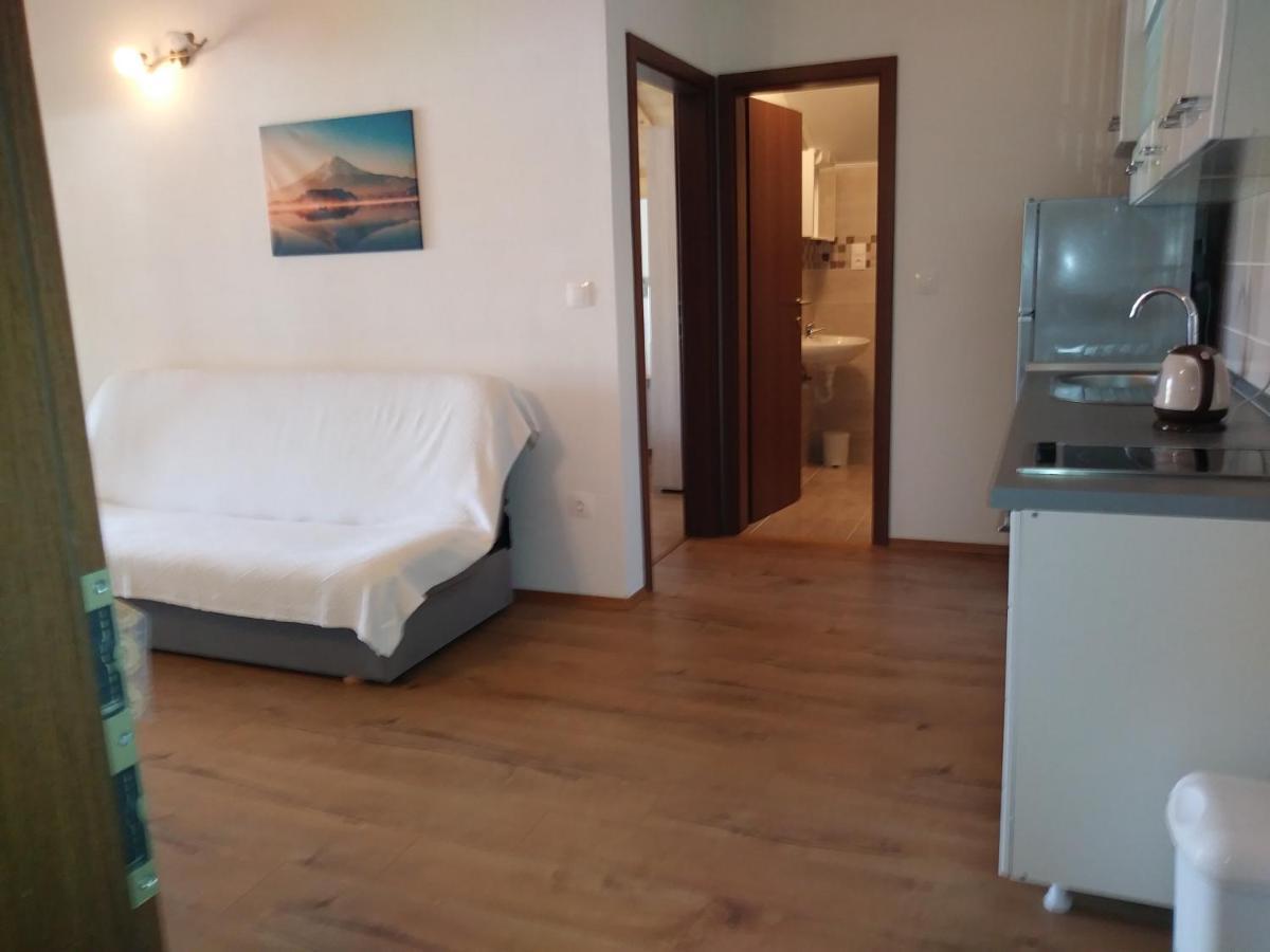 Nives Apartmani ปาโกชตาเน ภายนอก รูปภาพ